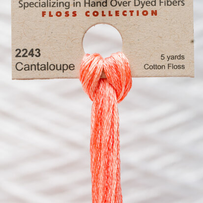 Cantaloupe WDW 2243