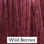 Wild Berries CCW