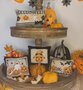 HALLOWEEN SET PILLOWS - Serenita di campagna